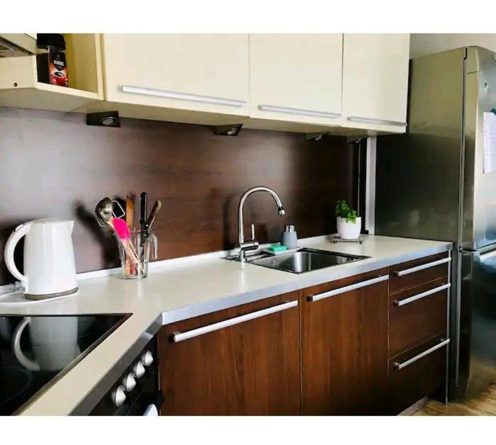 Apartment Sakvice 390 外观 照片